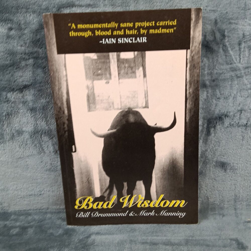 Bad Wisdom: The Lighthouse at the Top of the World - Bill Drummond